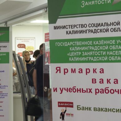 Предприятия Калининграда готовы временно трудоустроить около тысячи человек