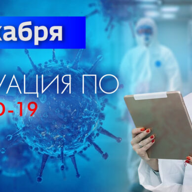 За последние сутки в Калининградской области подтвердили 188 случаев коронавируса