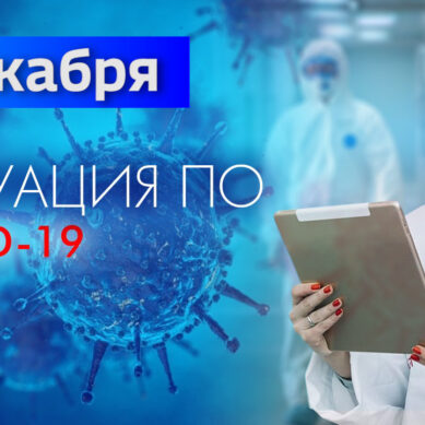 За последние сутки в Калининградской области подтвердили 215 случаев коронавируса