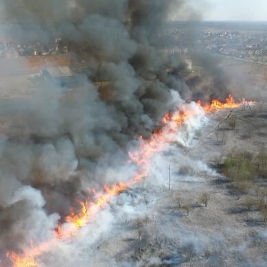 Объявлен пожароопасный сезон: Минприроды региона просит граждан соблюдать безопасность
