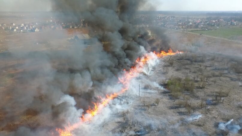 Объявлен пожароопасный сезон: Минприроды региона просит граждан соблюдать безопасность