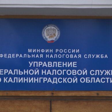  Акция налоговых органов Калининградской области «День открытых дверей»