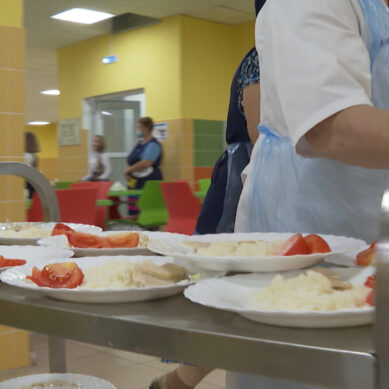 Организацию питания в школах Калининградской области будет контролировать родительский совет