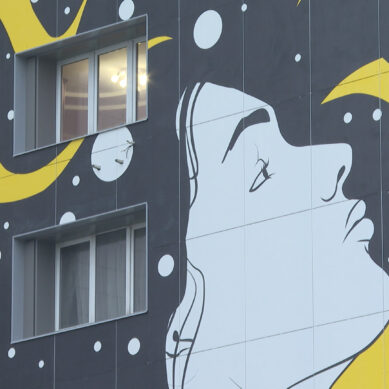 Картина высотой в 9 этажей появилась на фасаде одного из домов на Ленинском проспекте