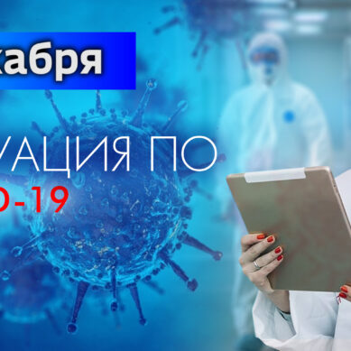 За последние сутки в Калининградской области подтвердили 203 случая коронавируса