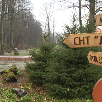 В Чкаловске по программе «Инициативное бюджетирование» создали мини-парк с тропой здоровья