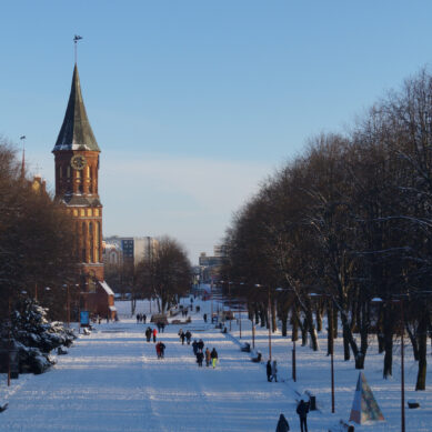 Что посетить в зимние каникулы: Калининград