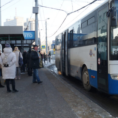Пенсионеры Калининграда смогут ездить на общественном транспорте по льготным проездным билетам без ограничений