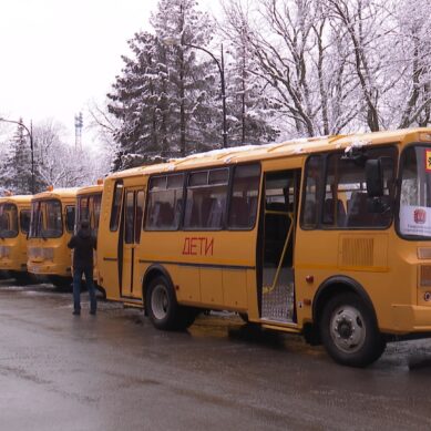 В школьные автопарки Калининградской области поступили 16 новых автобусов