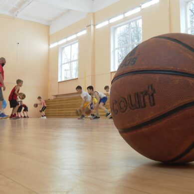 Воспитанники спортивных школ региона вернулись к привычным условиям занятий в родных спортзалах