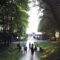 Северную часть парка Беккера в Янтарном планируют благоустроить