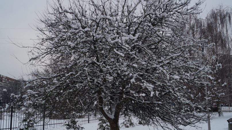 Калининградскую область ждет резкое похолодание
