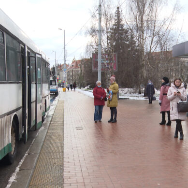 В Калининграде льготники и пенсионеры могут воспользоваться общественным транспортом ограниченное количество раз