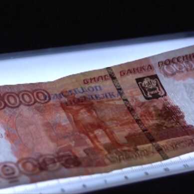 В прошлом году в банках в Калининградской области нашли 135 фальшивых купюр