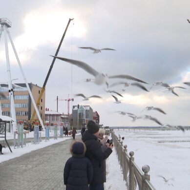 Географ прокомментировал ситуацию с обледенением на побережье Калининградской области
