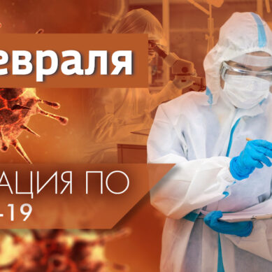 В Калининградской области за сутки подтвердили 2 050 случаев коронавируса