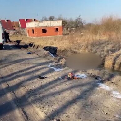 В Калининградской области в придорожной канаве полицейские обнаружили тело мужчины