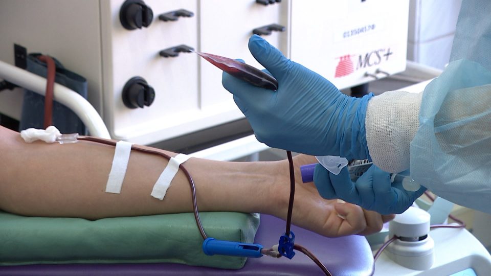Донорский марафон обеспечил регион 200 литрами крови