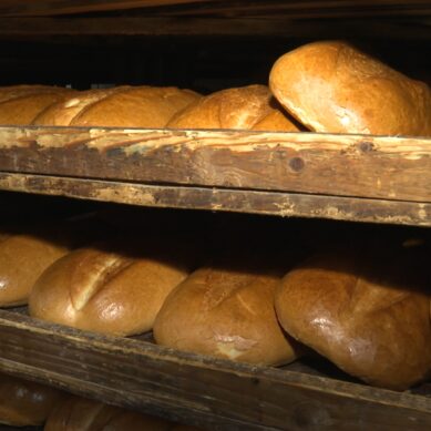 Сотрудники калининградского хлебозавода отправились на международный конкурс «Лучший хлеб России»