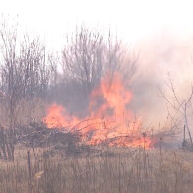 В Калининградской области начались возгорания на полях