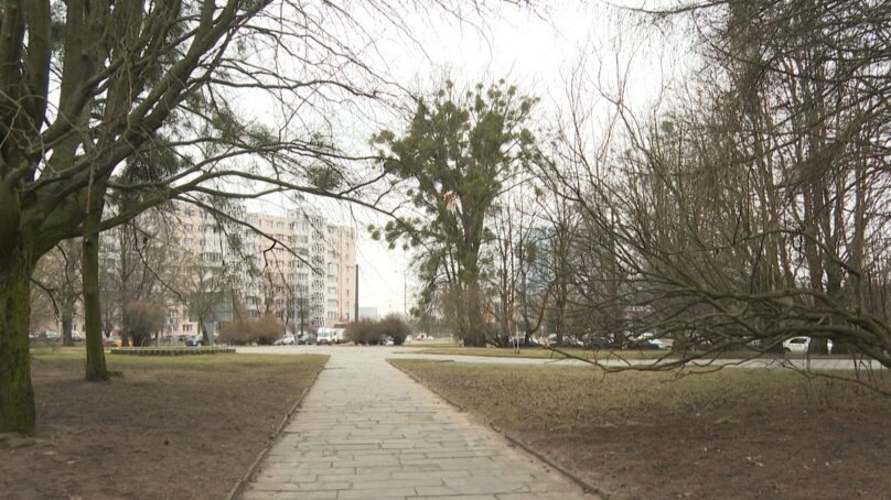 В Калининграде ищут подрядчика, который будет ухаживать за памятниками в скверах