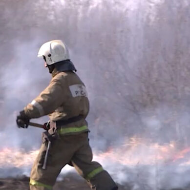 В минувшие выходные калининградские пожарные более 80 раз выезжали на тушение палов сухой травы