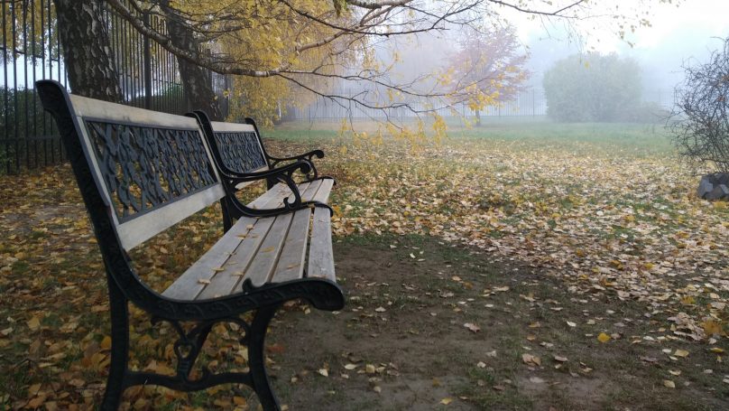 На улицах Калининграда в ближайшее время установят 14 новых скамеек