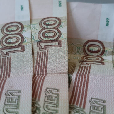 Председателя садового товарищества в Калининграде подозревают в присвоении крупной суммы денег