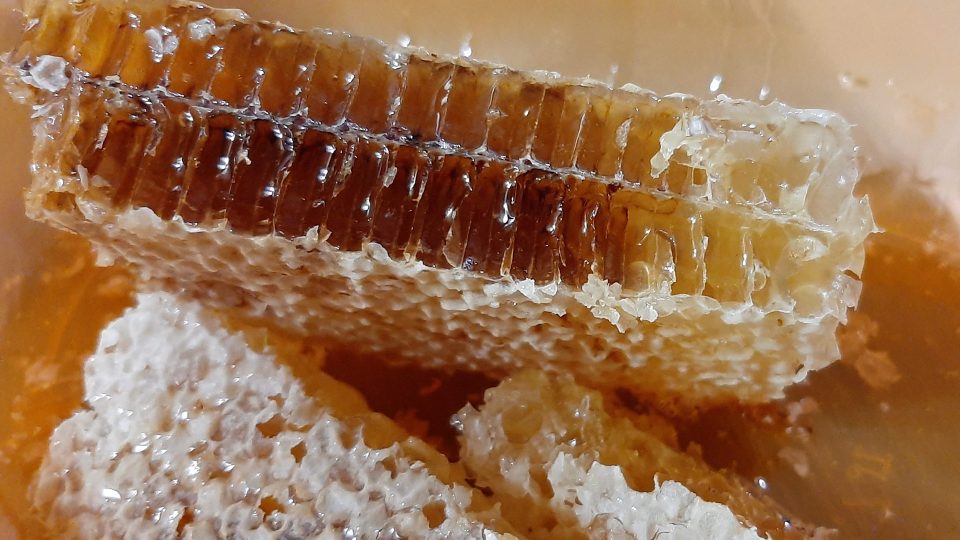 С сегодняшнего дня в стране вступает в силу закон о поддержке пчеловодства