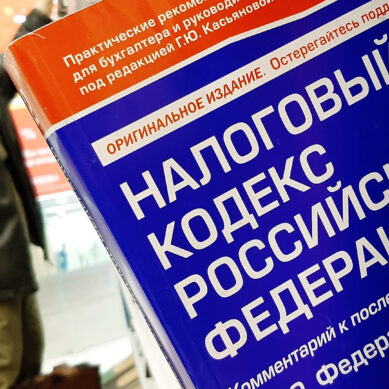Сегодня отмечается День работника налоговых органов РФ