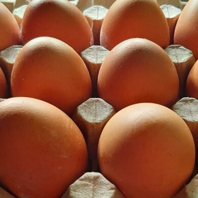 В Калининградской области ощутимо выросли цены на яйца в магазинах