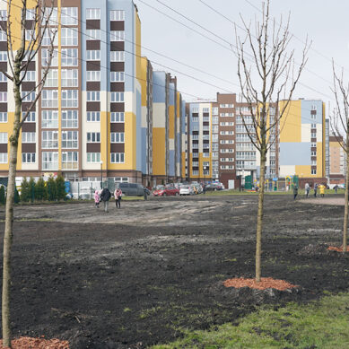 Губернаторский проект «Зелёный край» стартовал в Калининградской области