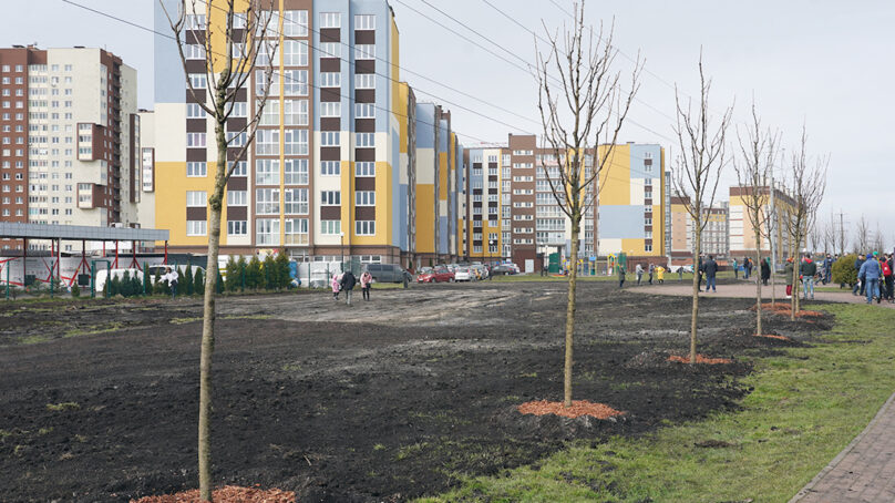 Губернаторский проект «Зелёный край» стартовал в Калининградской области