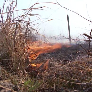 В Круглово загорелся мусорный полигон: Росприроднадзор проводит проверку