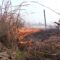 Пастуха-поджигателя сухой травы поймали в Черняховском районе