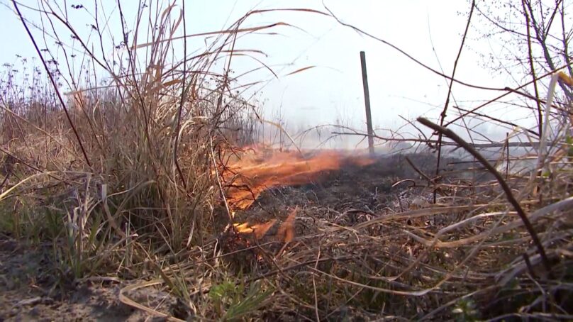 В областном правительстве предусмотрели меры по предупреждению пожаров в весенне-летний сезон