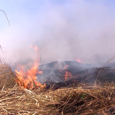 Росприроднадзор по СЗФО проводит проверку по факту пожара на полигоне ТКО в Калининградской области