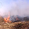 Росприроднадзор по СЗФО проводит проверку по факту пожара на полигоне ТКО в Калининградской области