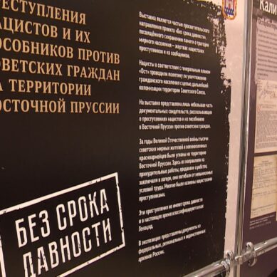 В Калининграде представят рассекреченные документы о преступлениях нацистов