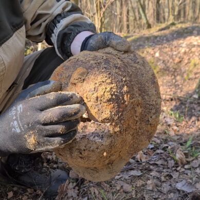 Поисковый отряд «Совесть» обнаружил в лесу останки и вещи солдат Красной армии