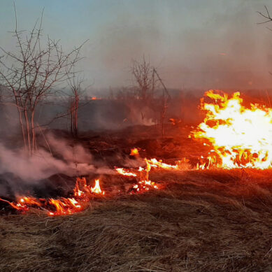 В Калининградской области объявлен пожароопасный сезон