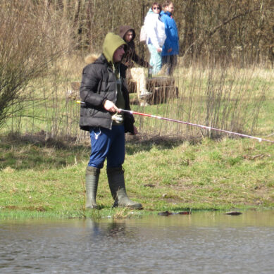 В реках Калининградской области на минувшей неделе массово ловили рыбца