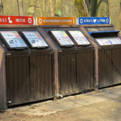 В Гусевском городском округе в этом году появится несколько новых контейнерных площадок для сбора мусора