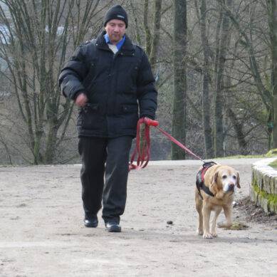 В Калининграде защитят новые саженцы в парках от собак
