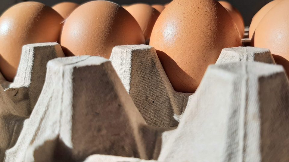«Не более 3 лотков одного артикула в руки». В Калининграде ввели ограничение на продажу куриного яйца