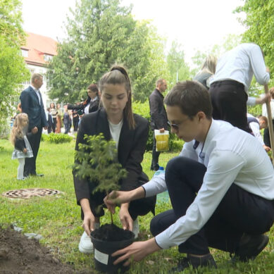 «Сад памяти»: школьники высадили 12 деревьев в память о погибших в годы Великой Отечественной войны