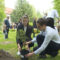 «Сад памяти»: школьники высадили 12 деревьев в память о погибших в годы Великой Отечественной войны
