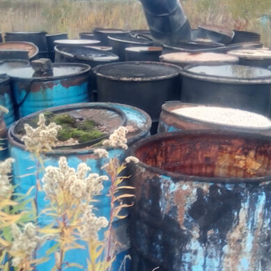 Собственников участков в Орловке оштрафовали на более 600 тыс. руб за сокрытые отходы