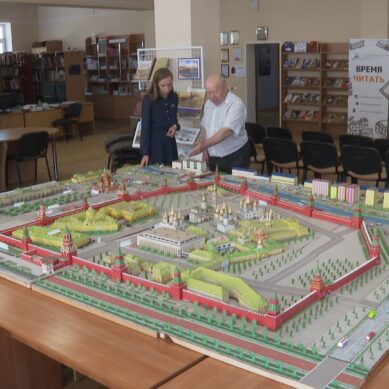 Пенсионер из Светлого создал панораму Московского Кремля