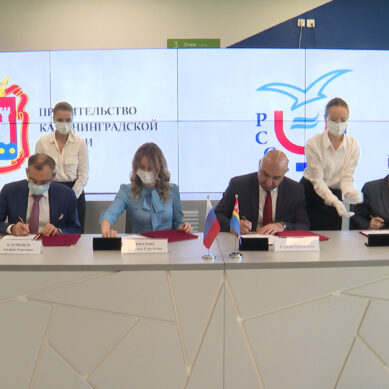 Развитие студенческого спорта в регионе: на стадионе «Калининград» подписано четырёхстороннее соглашение